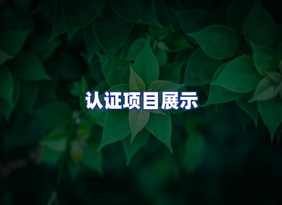 认证项目展示